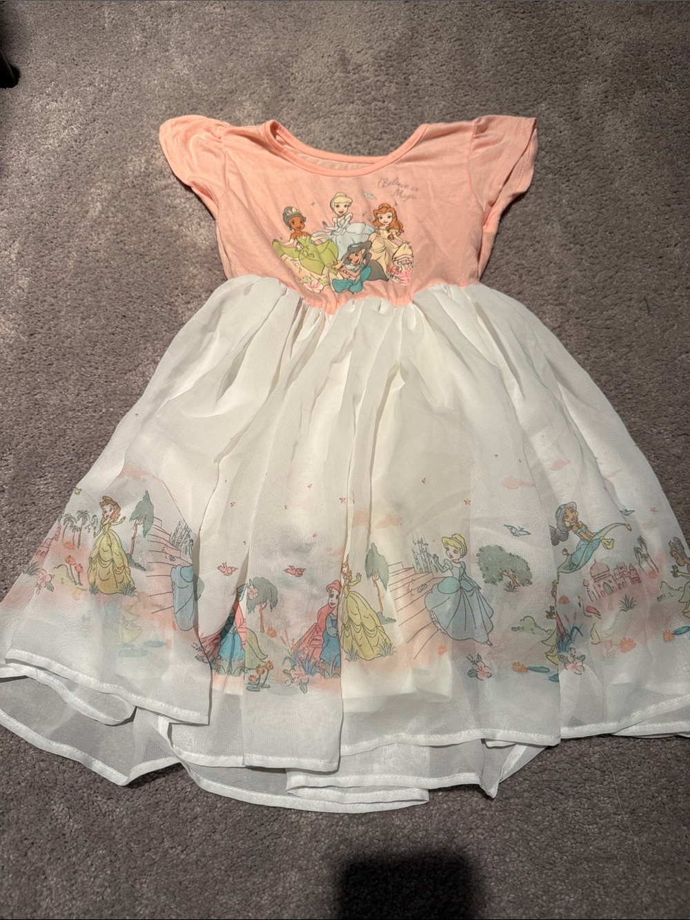 Disney Peach and White Princess Graphic Tulle Dress